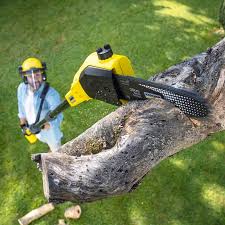 Mulching Services in San Pasqual, CA